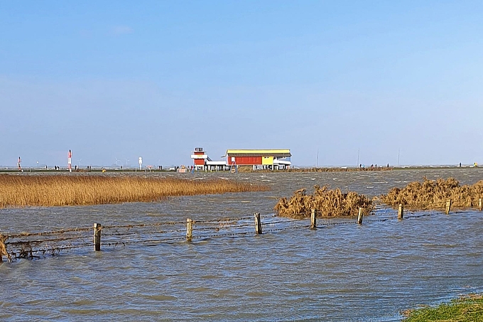 Landunter im Husumer Dockkoog