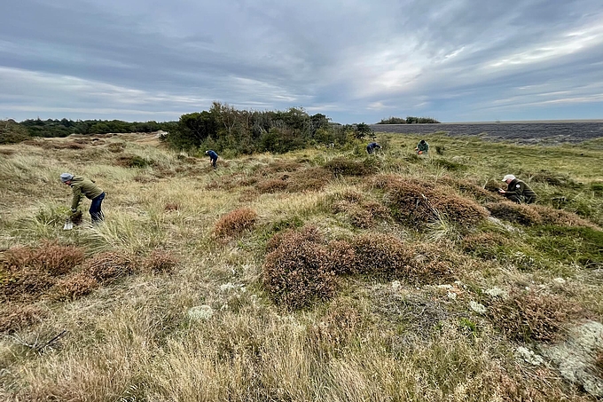 Weite Dünen mit einigen Personen Weite Dünen mit einigen Personen