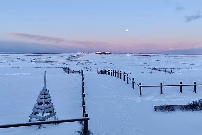 Vollmond über verschneiter Hallig