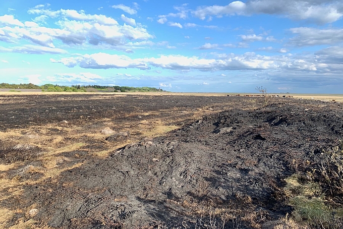 Blick von Düne auf die verkohlte Landschaft
