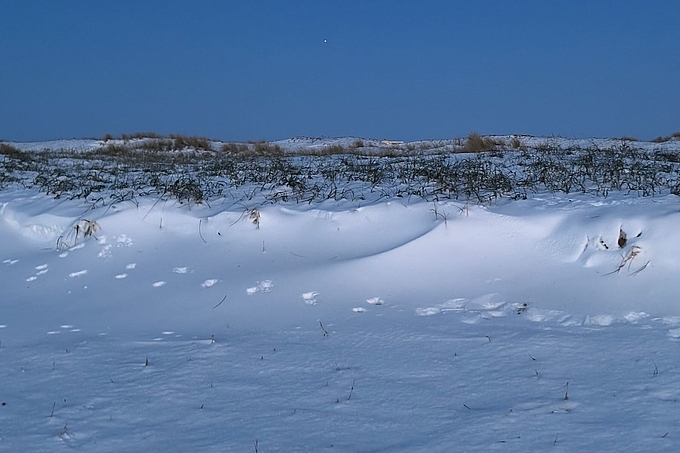 Planet strahlt über verschneiten Dünen