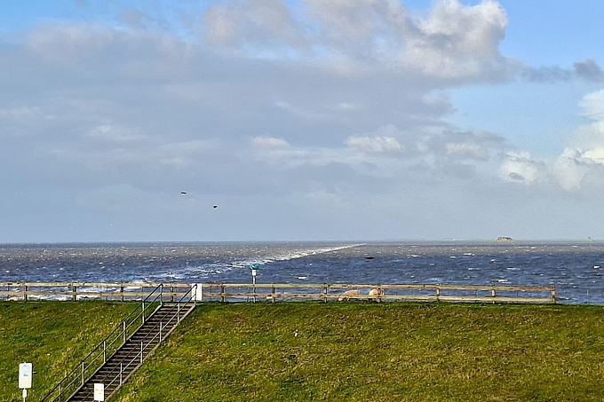 Blick über den Deich nach Nordstrandischmoor
