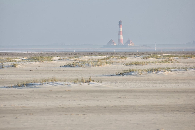 Raureif auf Vordünen mit Leuchtturm Westerhever im Hintergrund