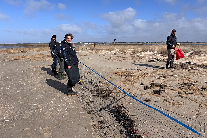 Freiwillige am Zaun Freiwillige am Zaun