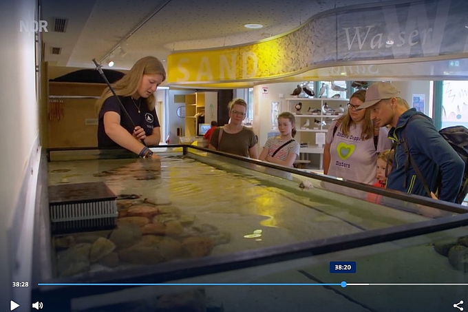 Gruppe am Aquarium