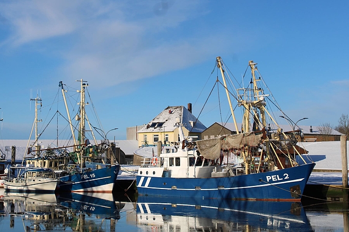 Nationalpark-Haus Pellworm hinter Fischkuttern