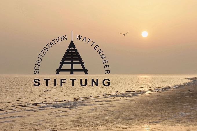 Logo der Stiftung mit Blick auf das Watt