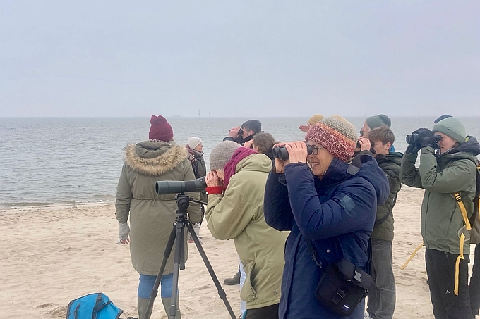 Gruppe mit Ferngläsern am Strand