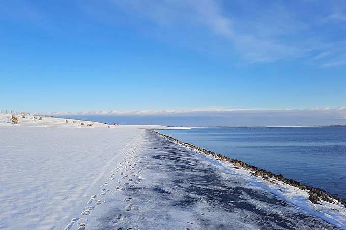 Weißer Deich an der Eidermündung bei Vollerwiek