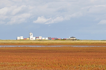 Blick über Scharhörn mit Containerschiff direkt dahinter