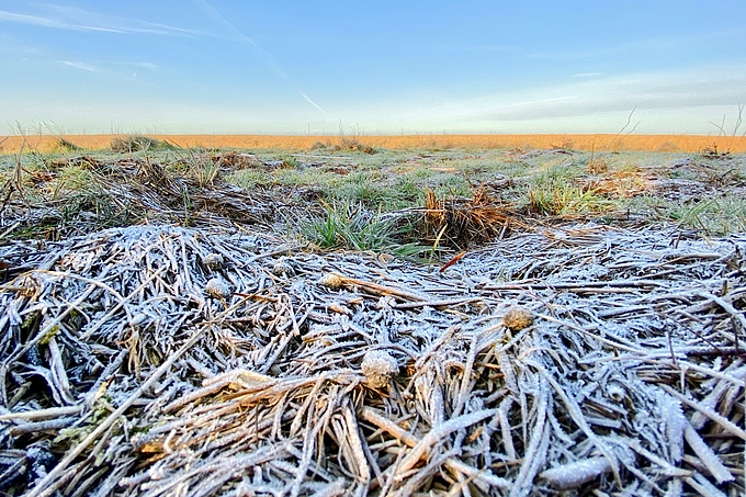 Spülsaum mit Raureif