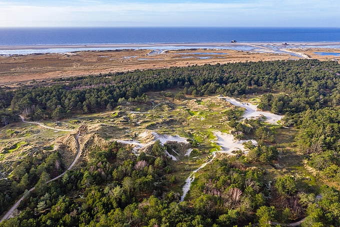 Blick aus der Luft über Dünen und Wald zur Nordsee