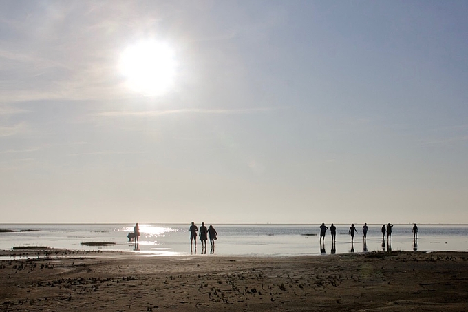 Sonnige Führung im Watt