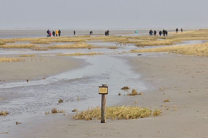 Zahlreiche Wanderer in Schutzgebiet