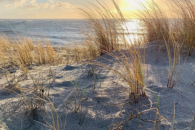 Abendsonne über den Sylter Dünen