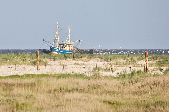 E-Zaun mit einem Fischkutter auf dem nahen Fahrwasser