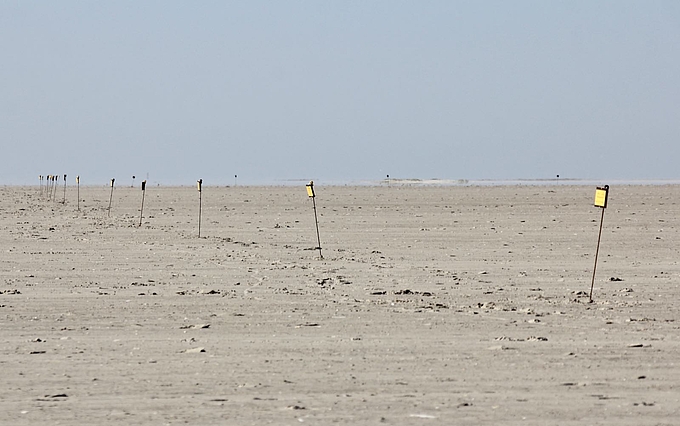 Schilderreihe auf der Sandbank