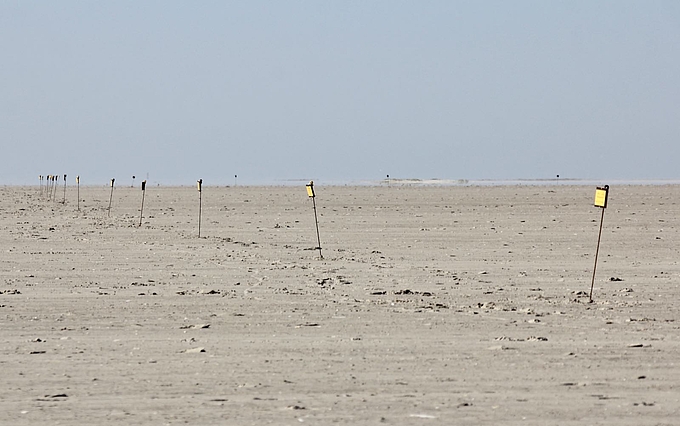 Schilderreihe auf der Sandbank