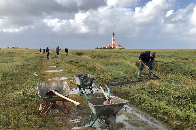 Gruppen von Freiwilligen arbeiten am Weg vor dem Leuchtturm