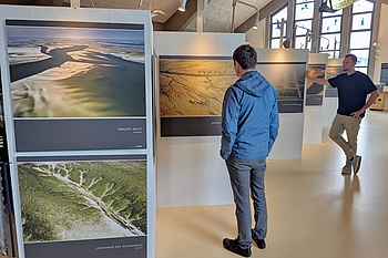 Personen betrachten Fotos