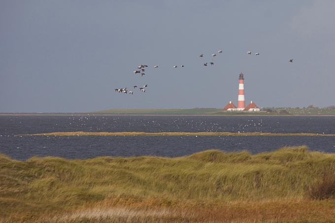 Blick von Ording nach Westerhever