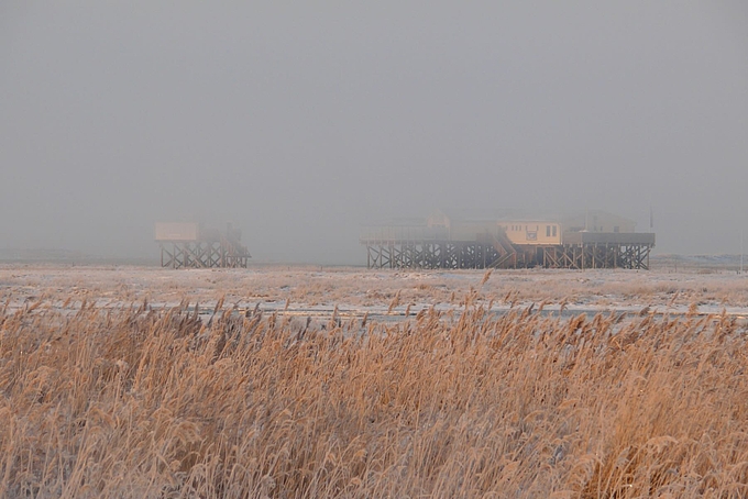 Pfahlbauten ragen in Nebelschicht hinein