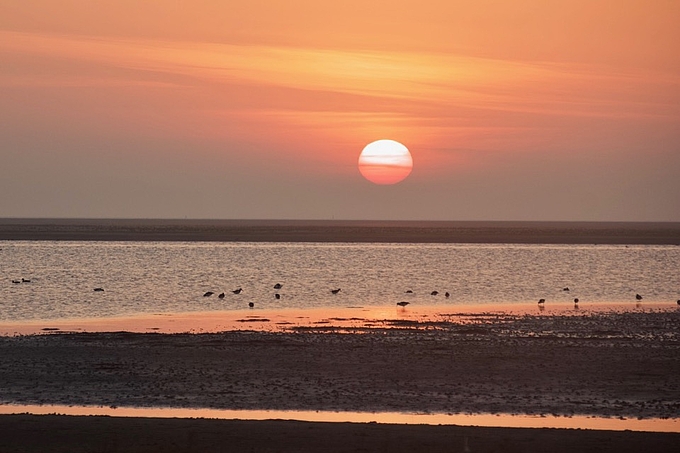 Sonnenuntergang und Vögel