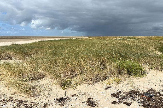 Dunkle Wolken über dem Strand