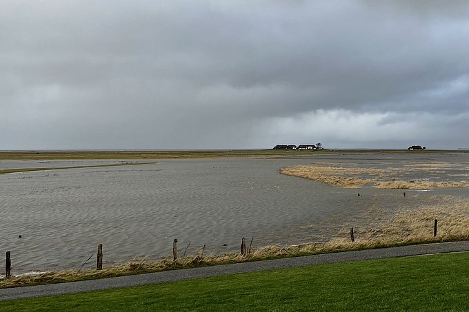 Blick von Peterswarf über die Hallig