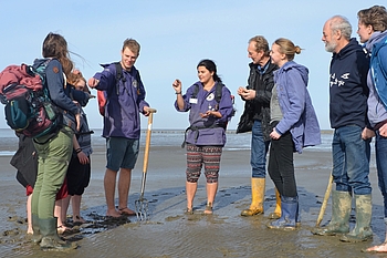 Wattwanderung vor Friedrichskoog