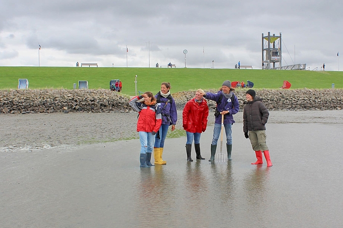 Wattwanderung vor Friedrichskoog