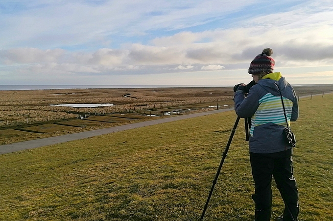 Vogelzählerin am Deich bei Oldsum auf Föhr