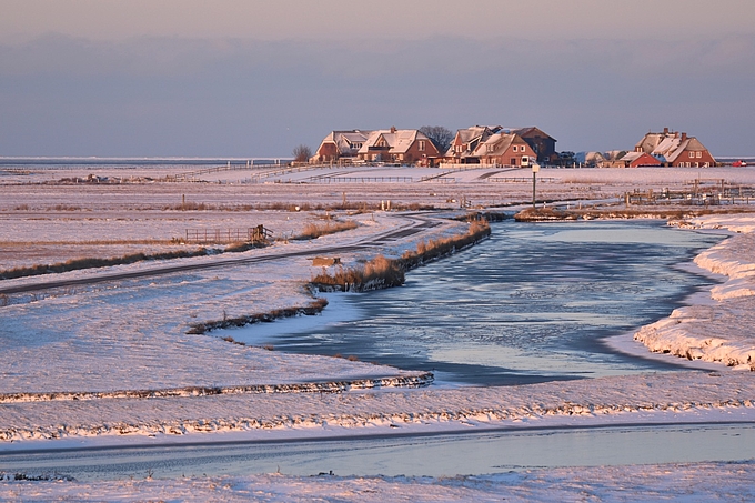 Verschneite Hallig Hooge im Morgenlicht