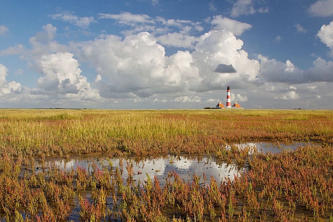 Herbstfarben vor Westerhever