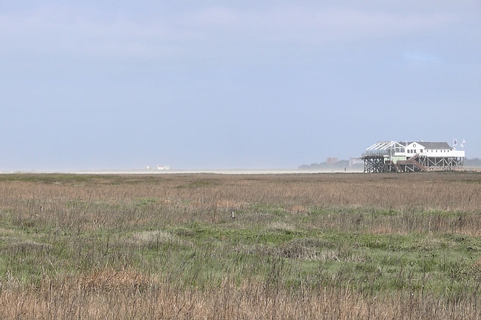 Fliegender Sand ähnlich wie Nebel