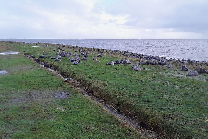 Granitsteine liegen neben der Halligkante Granitsteine liegen neben der Halligkante