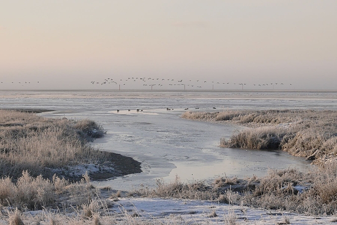 Blick über Priel hinaus auf das Watt