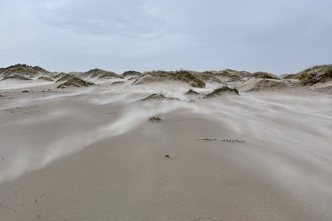 Fliegender Sand zwischen Vordünen Fliegender Sand zwischen Vordünen