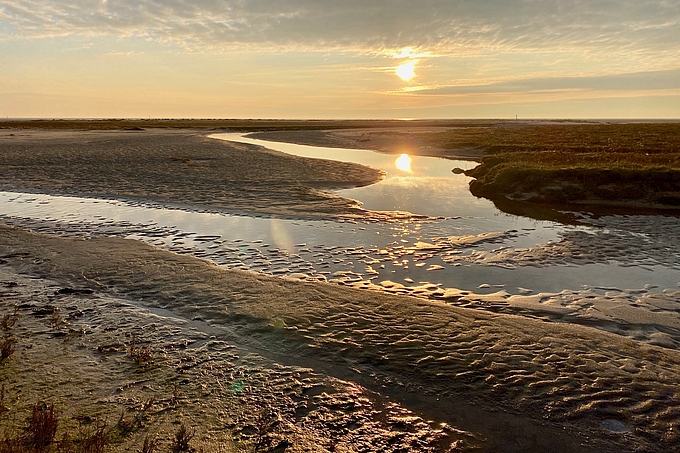 Abendsonne über Prielen