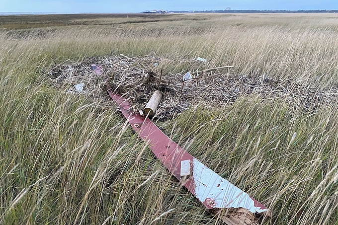 Lange Planke in der Salzwiese