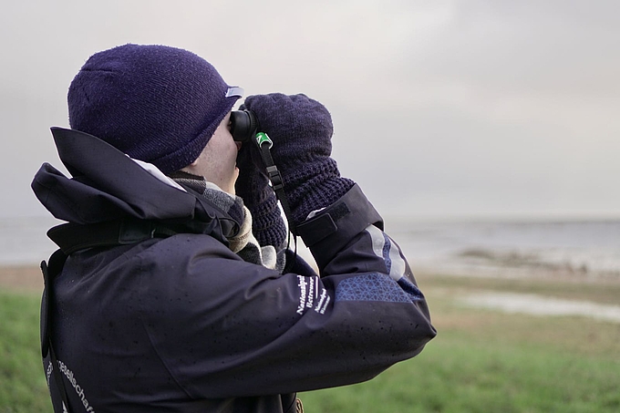 Freiwilliger blickt mit Fernglas auf überflutete Hallig