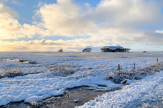 Verschneite Salzwiese vor St. Peter-Ording