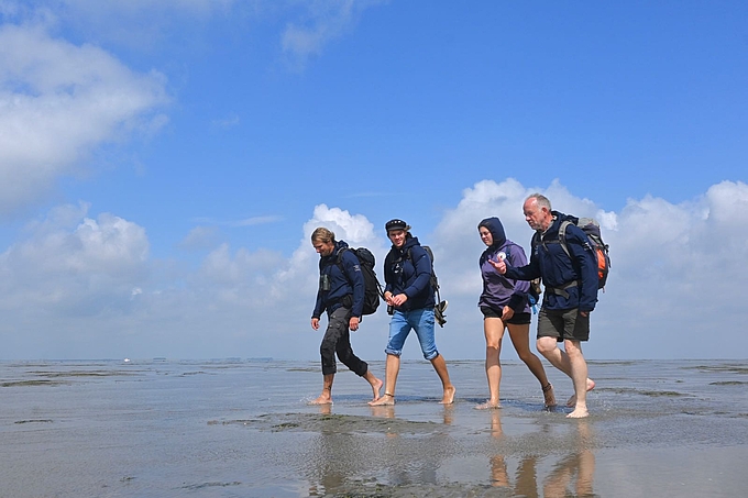 Gruppe auf Wattwanderung