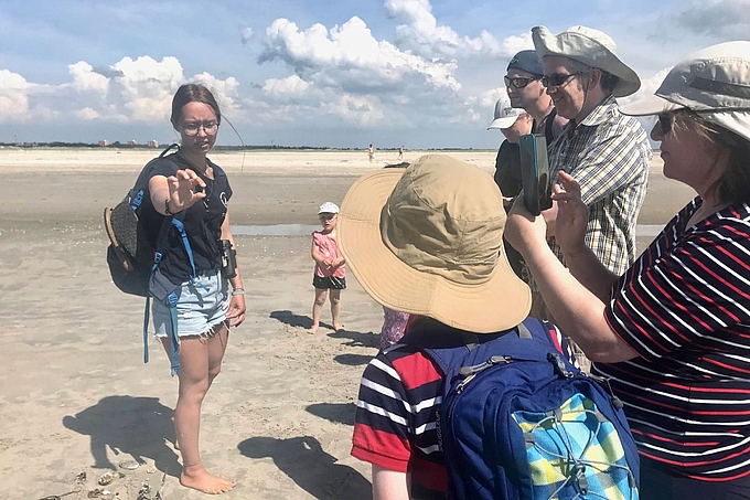 Spülsaumwanderung am Strand