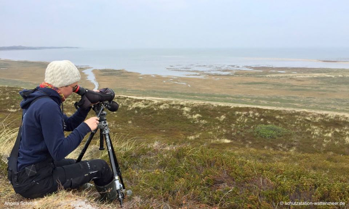 Mithilfe eines Teleskops zählt eine Freiwillige die weit entfernten Vögel 