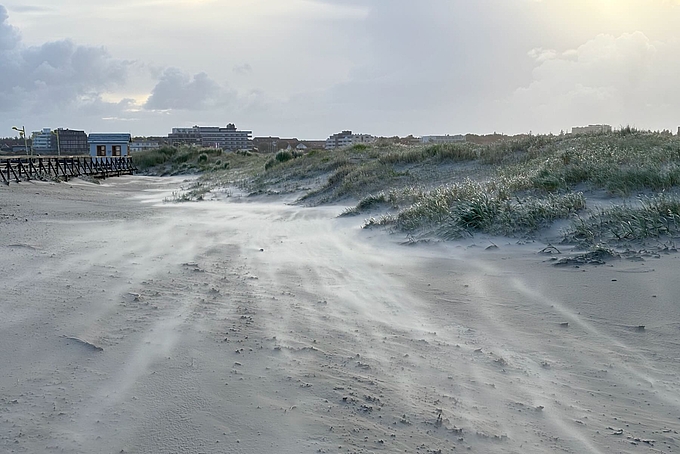 Sandfahnen vor Dünen