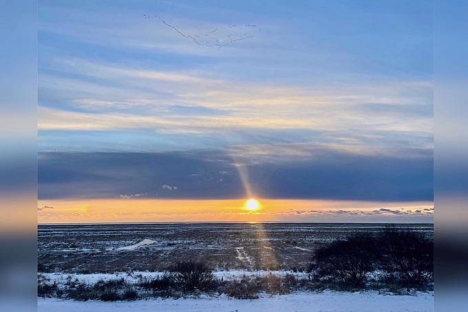 Sonnenuntergang mit Gänsen in langen Ketten am oberen Bildrand