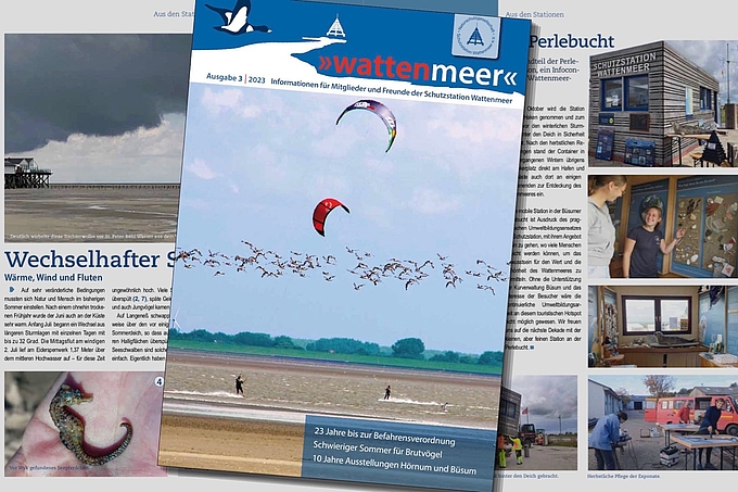 Titel und Seiten von "Wattenmeer"-Heft 2023-3