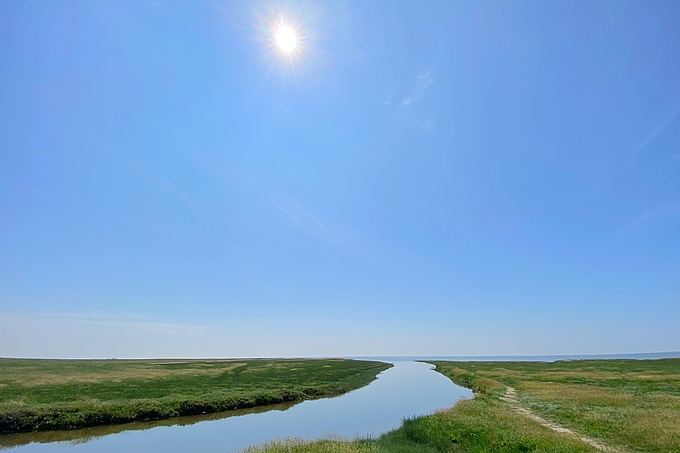 Sonne über Priel in der Salzwiese