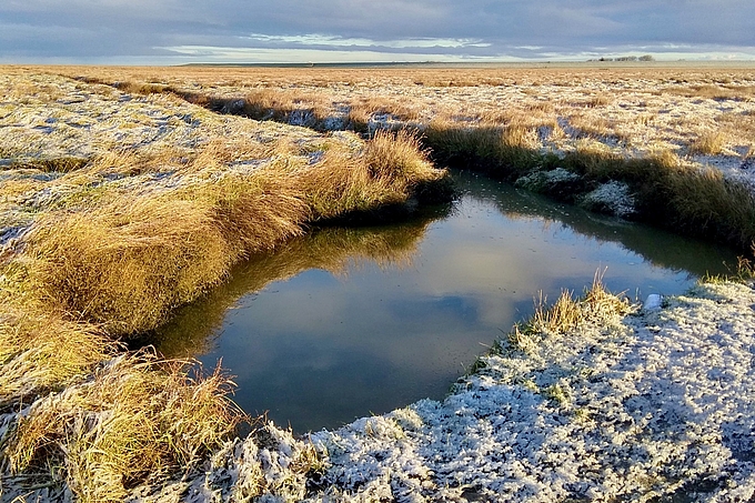 Salzwiesentümpel im Schnee